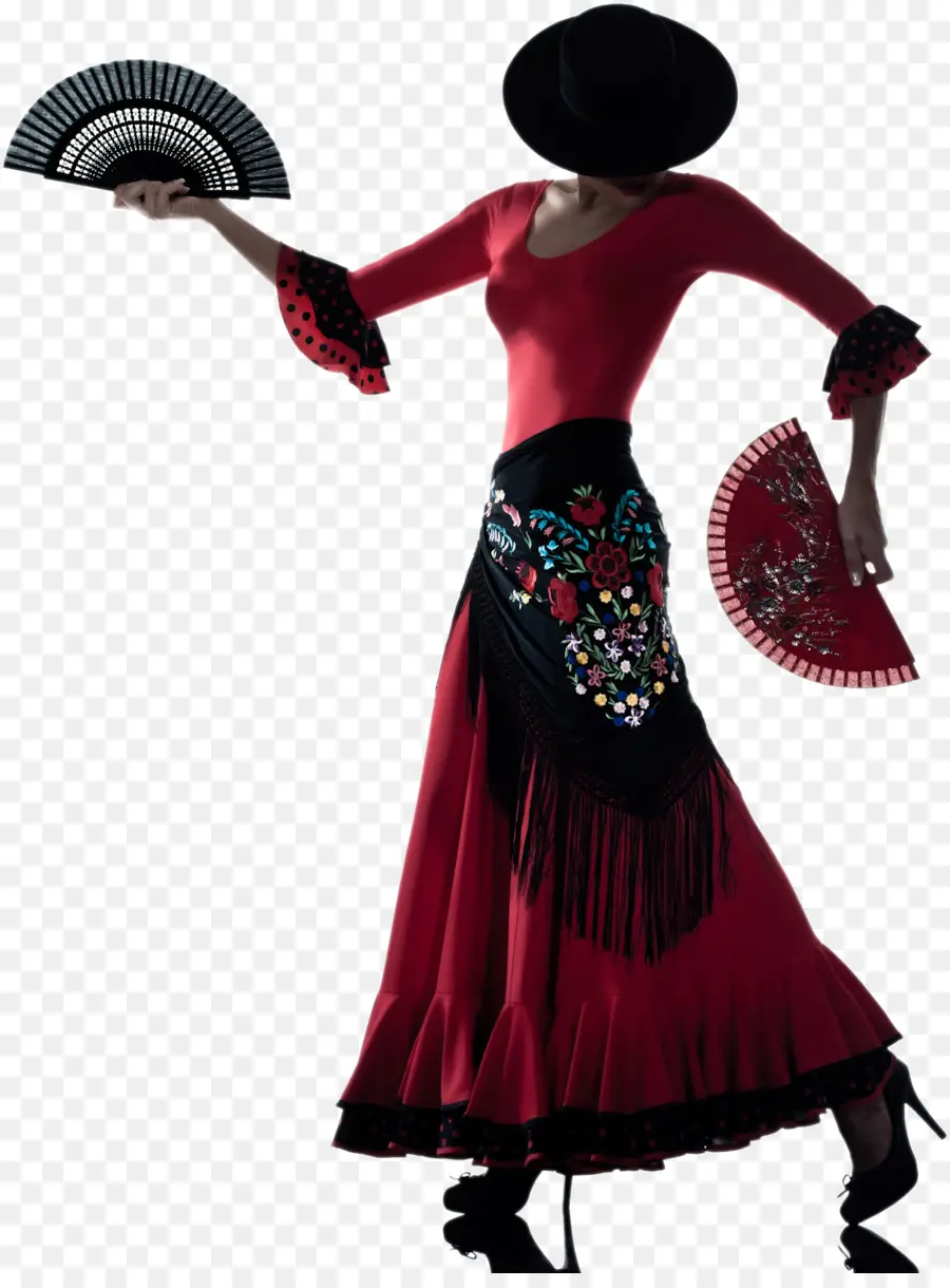 Flamenco，La Fotografía PNG