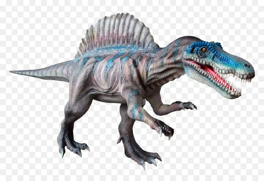 Tyrannosaurus，Spinosaurus PNG