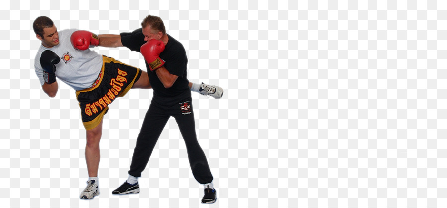 Jeet Kune Do，Las Artes Marciales Mixtas PNG