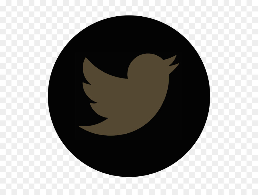 Logotipo De Twitter，Pájaro PNG