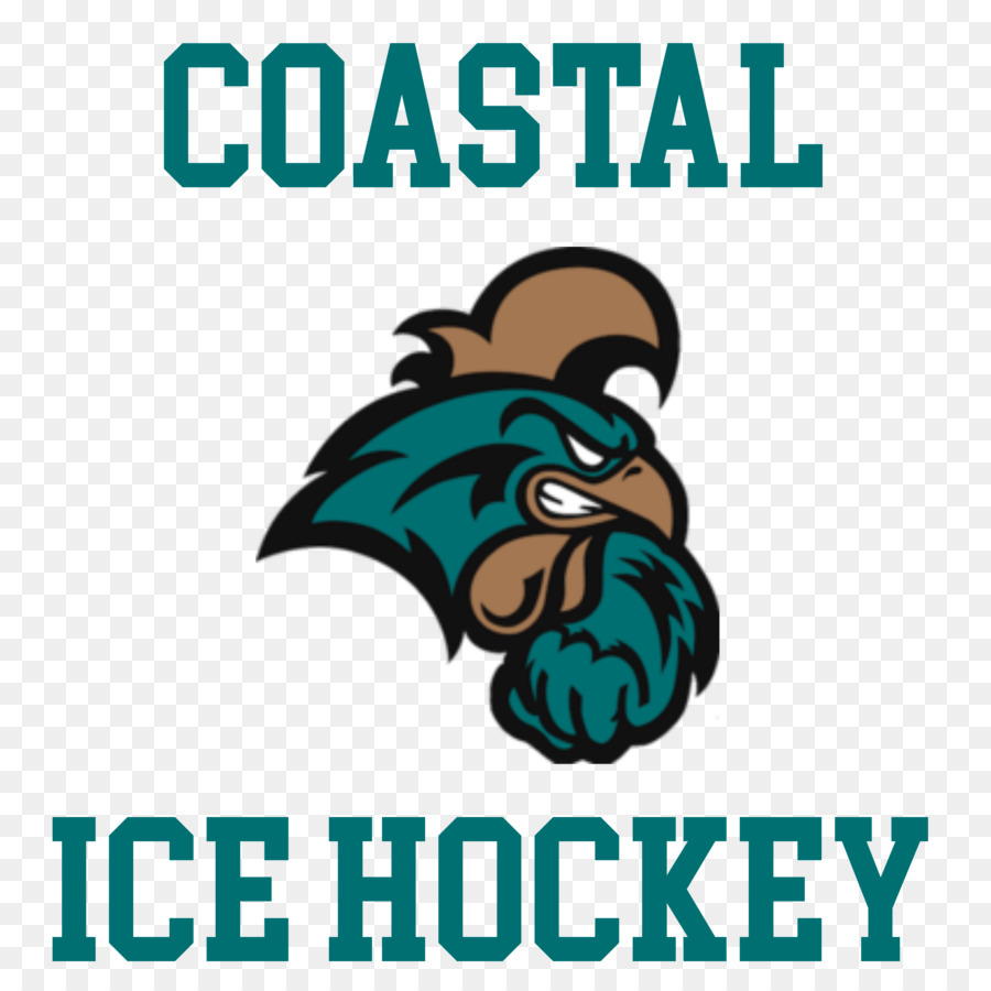 Coastal Carolina University，Coastal Carolina Chanticleers De Fútbol PNG