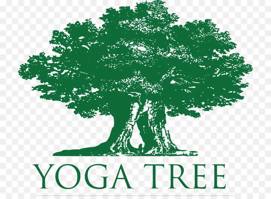 árbol De Yoga，Yoga PNG