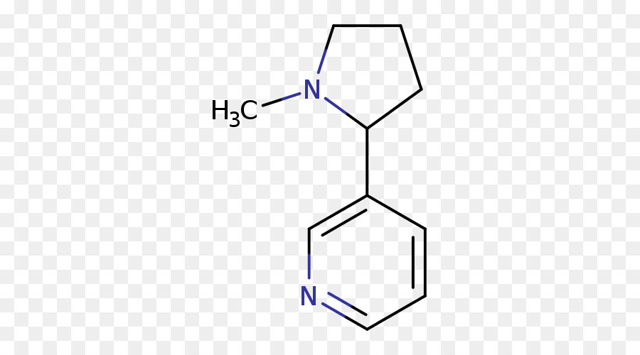 Estructura Química，Molécula PNG