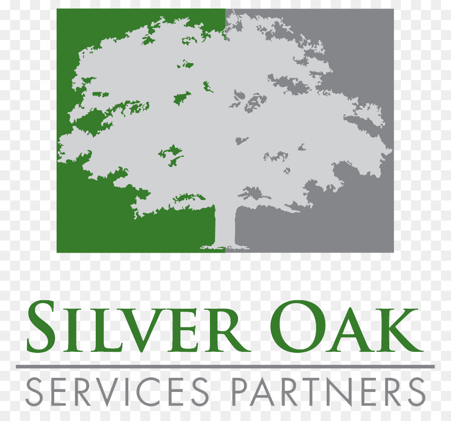 Silver Oak Servicios De Partners Llc，Foro Capital Partners PNG