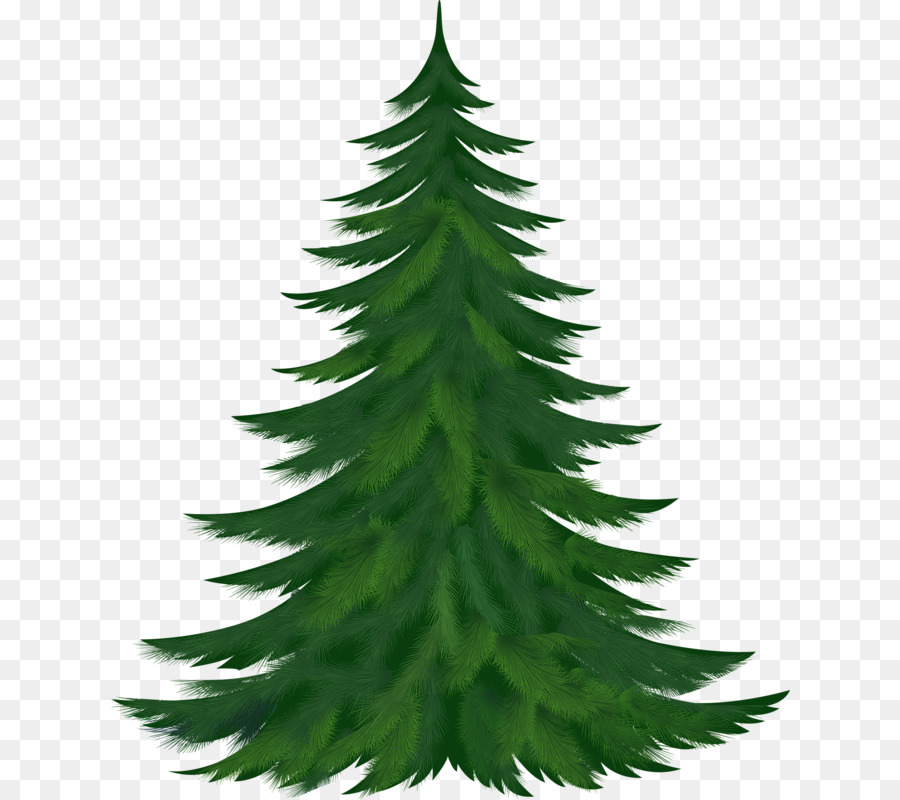 Bastón De Caramelo，árbol De Navidad PNG