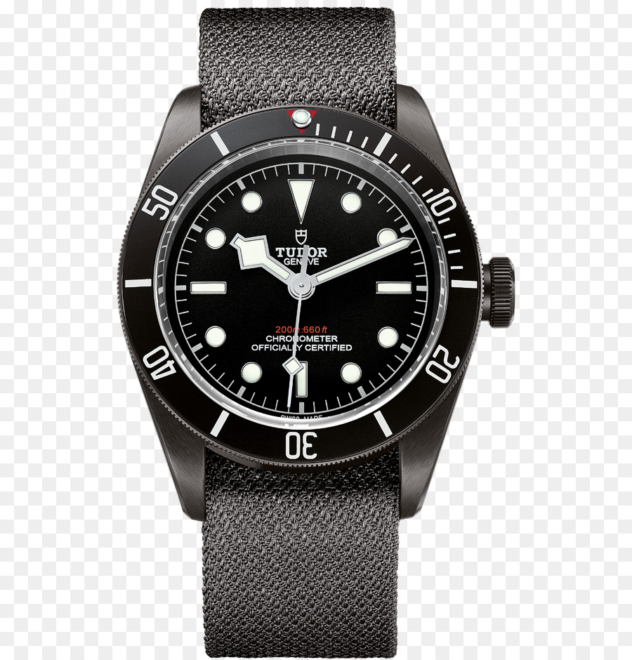 Mundo De Basón，Relojes Tudor PNG