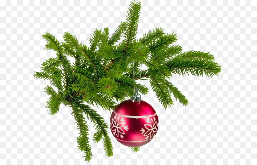 árbol De Navidad，La Navidad PNG