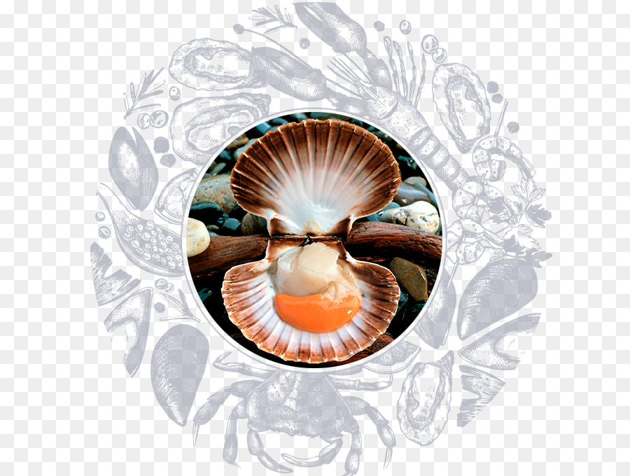 Ostras，Scampi PNG