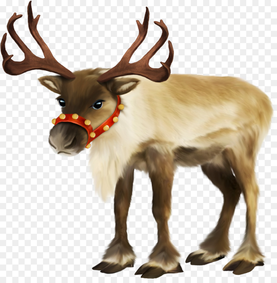 Santa Claus，Reindeer PNG