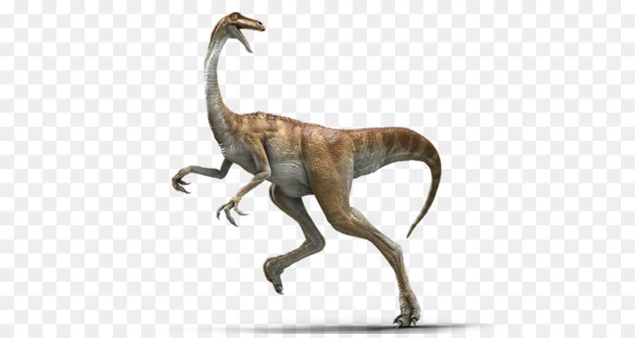 Gallimimus，Barialx PNG