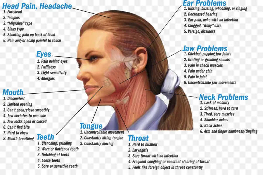 El Bruxismo，Trastorno De La Articulación Temporomandibular PNG