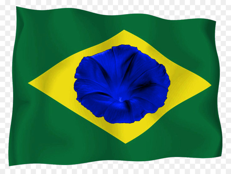 Flag，Brazil PNG