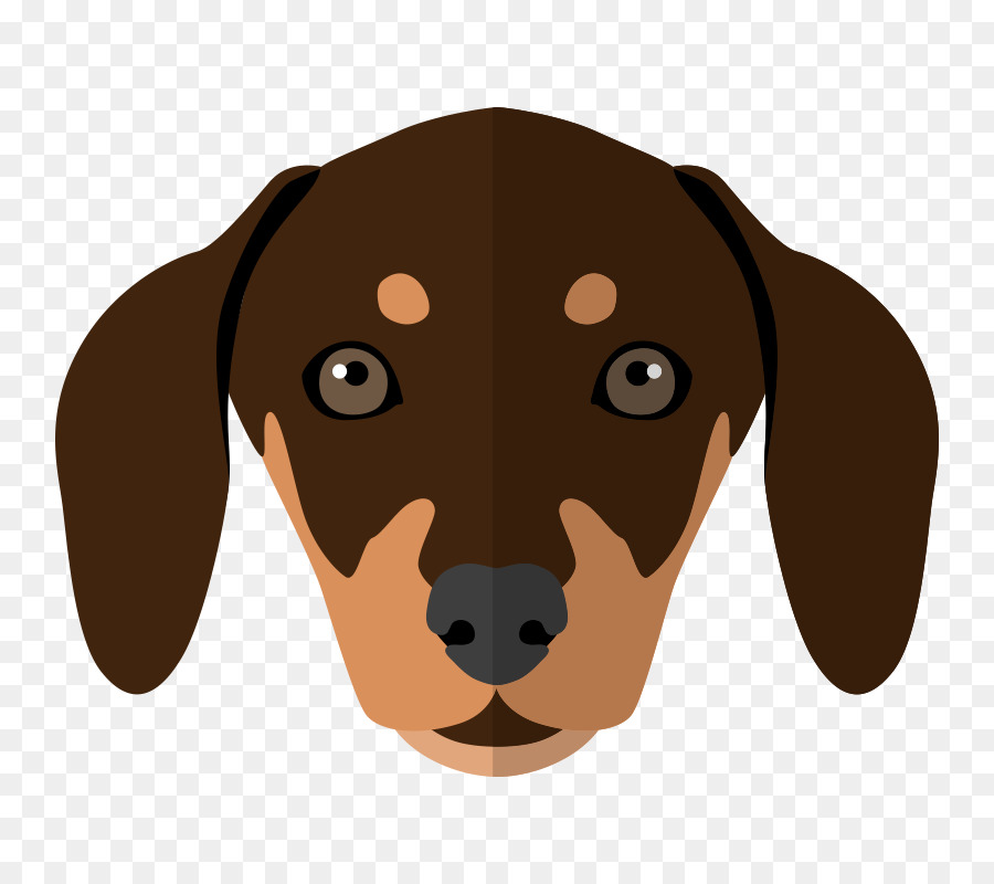 Perro Tejonero，Cachorro PNG