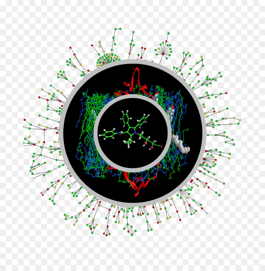 Biología，Proteinprotein Interacción PNG