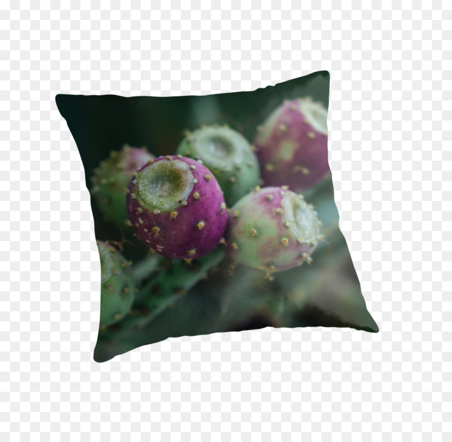 Almohada，Almohadas PNG