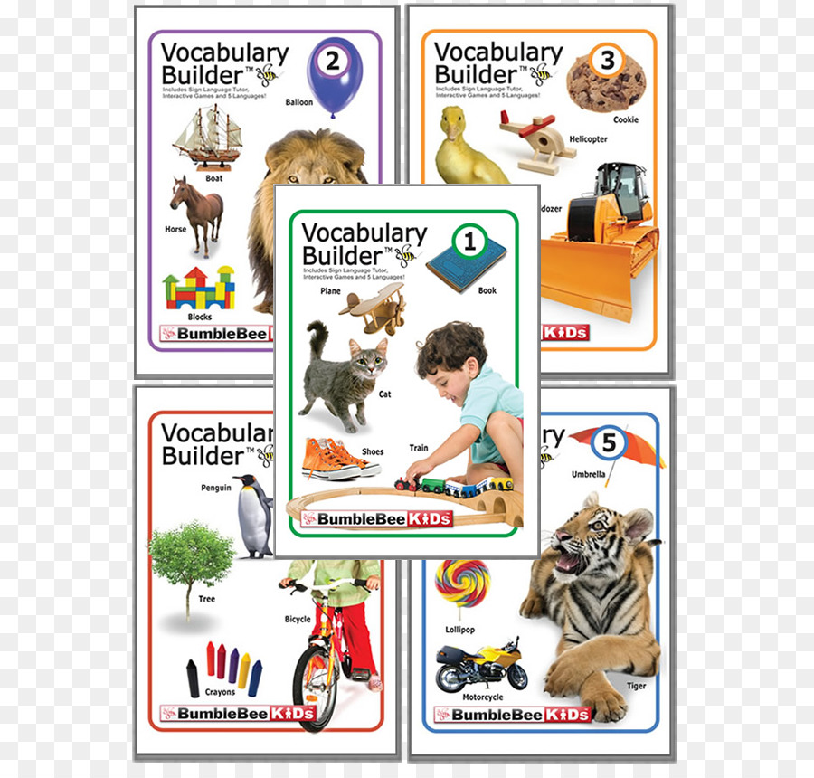 Vocabulary Builder，Vocabulario PNG
