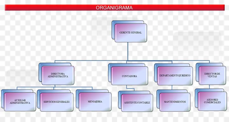 Organigrama，Real Estate PNG