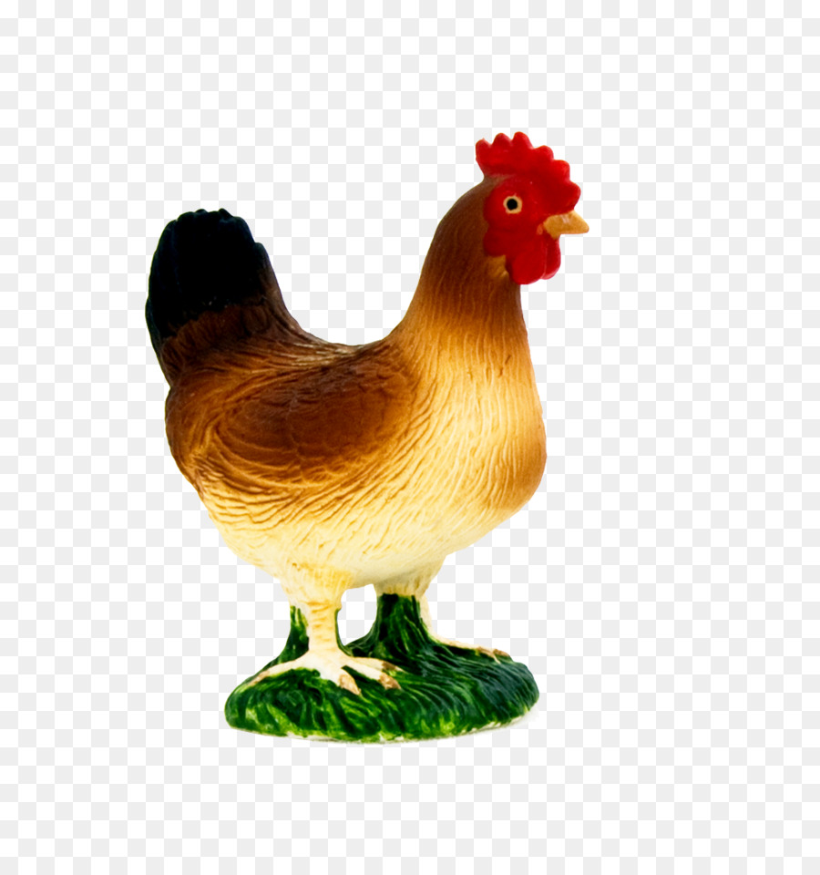 Gallo，Pájaro PNG