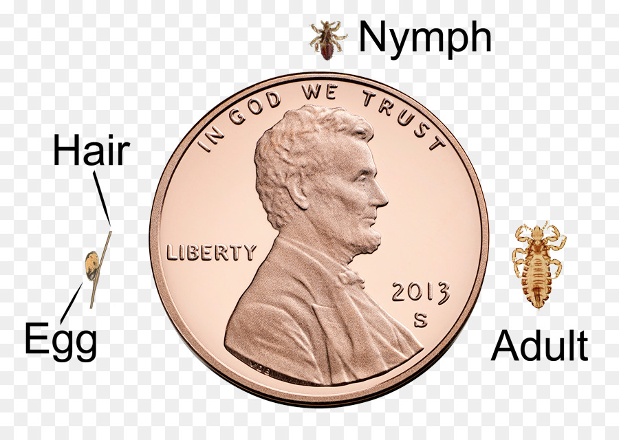 Monumento A Lincoln，Penny PNG