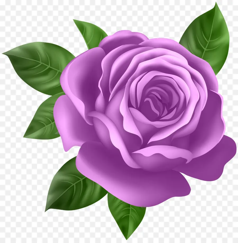 Rosa，Arte PNG