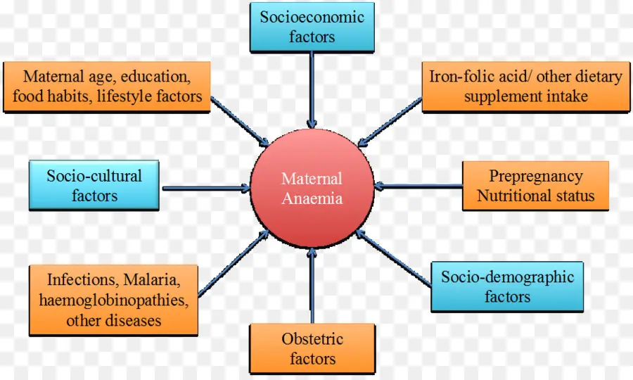 La Anemia，Irondeficiency Anemia PNG