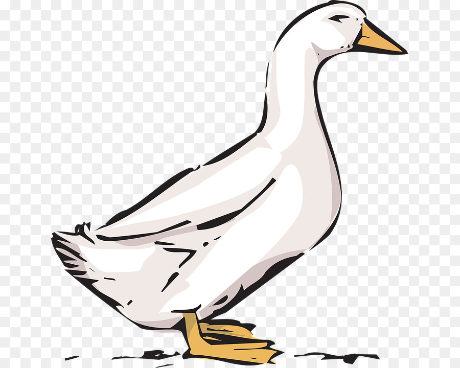 Ganso，Pato PNG