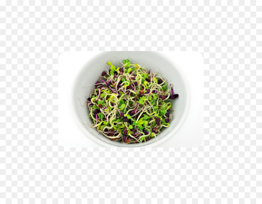 Ensalada De Frijoles，Ensalada De Pasta PNG