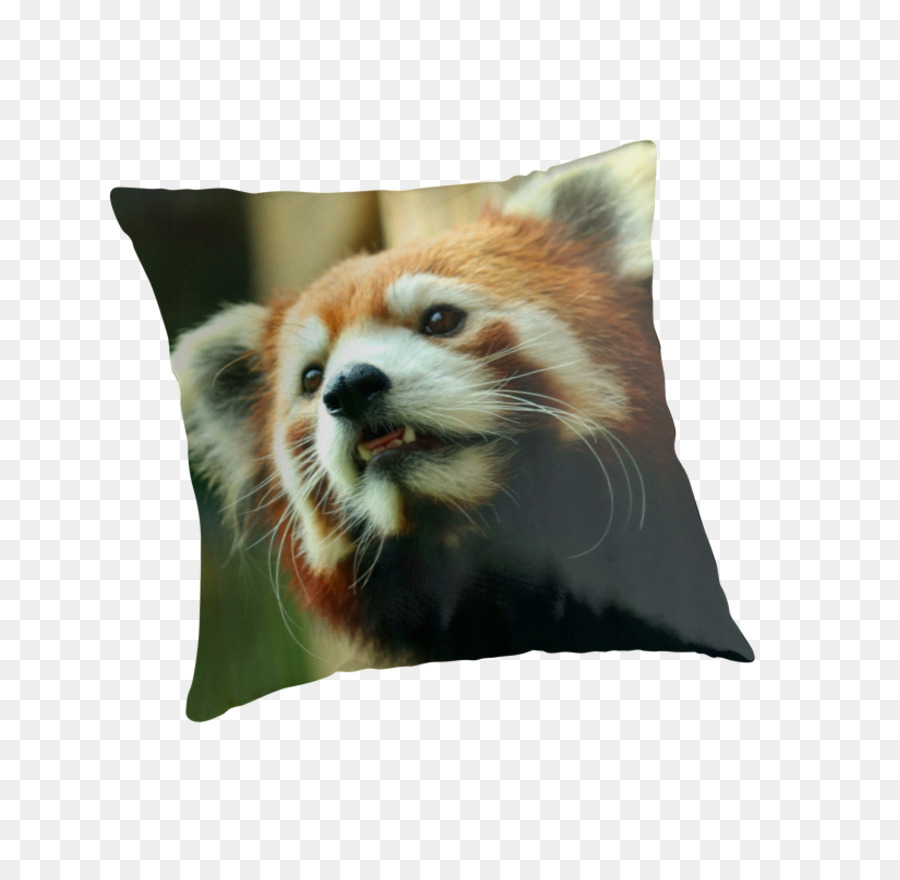 El Panda Rojo，Almohadas PNG