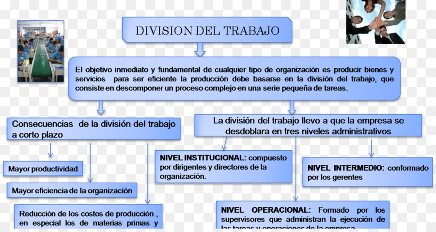 La División Del Trabajo，Administración De Empresas PNG