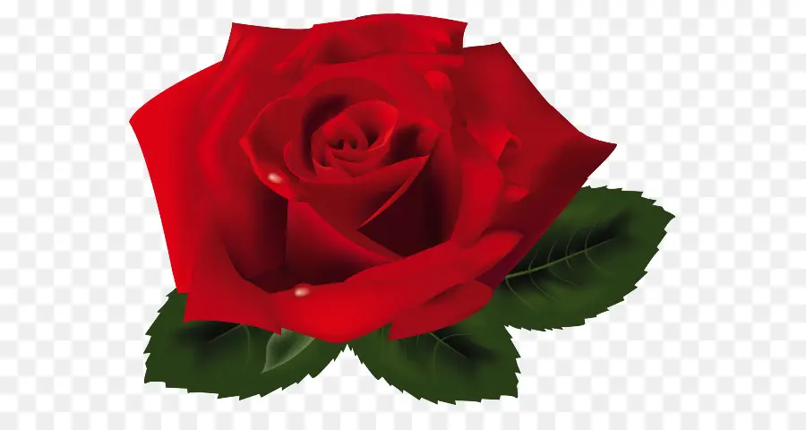 Rosa，Rojo PNG