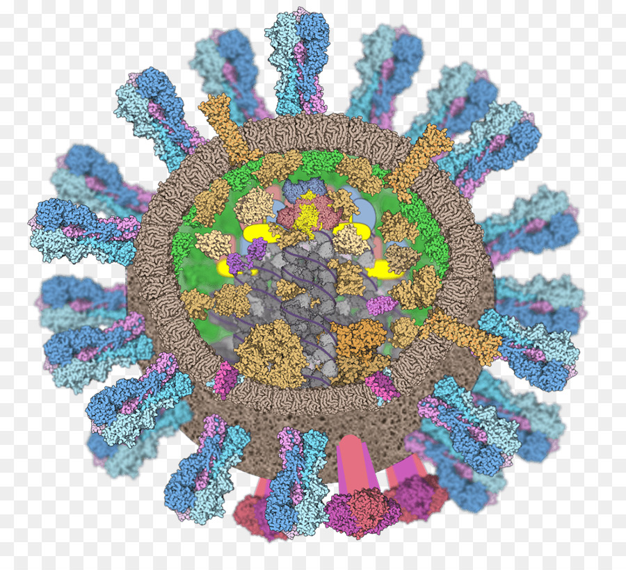 Virus，Patógeno PNG