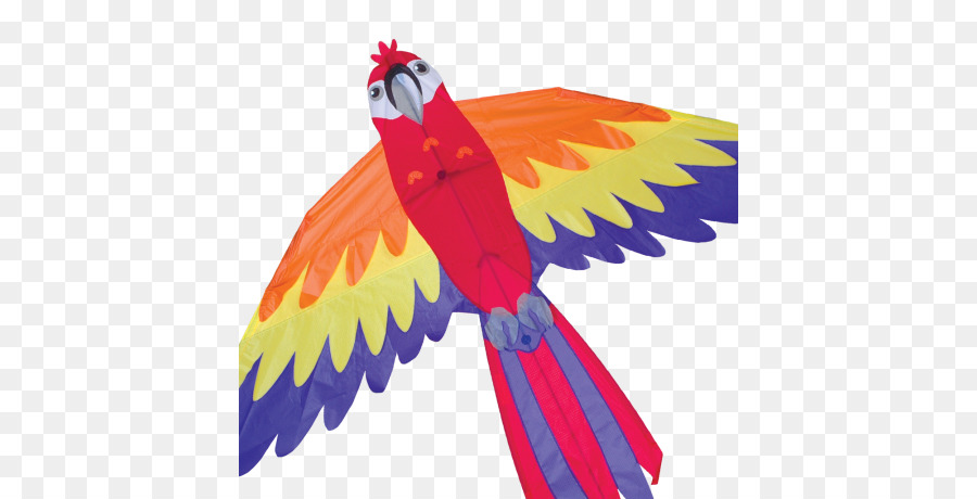 Guacamayo，Parrot PNG