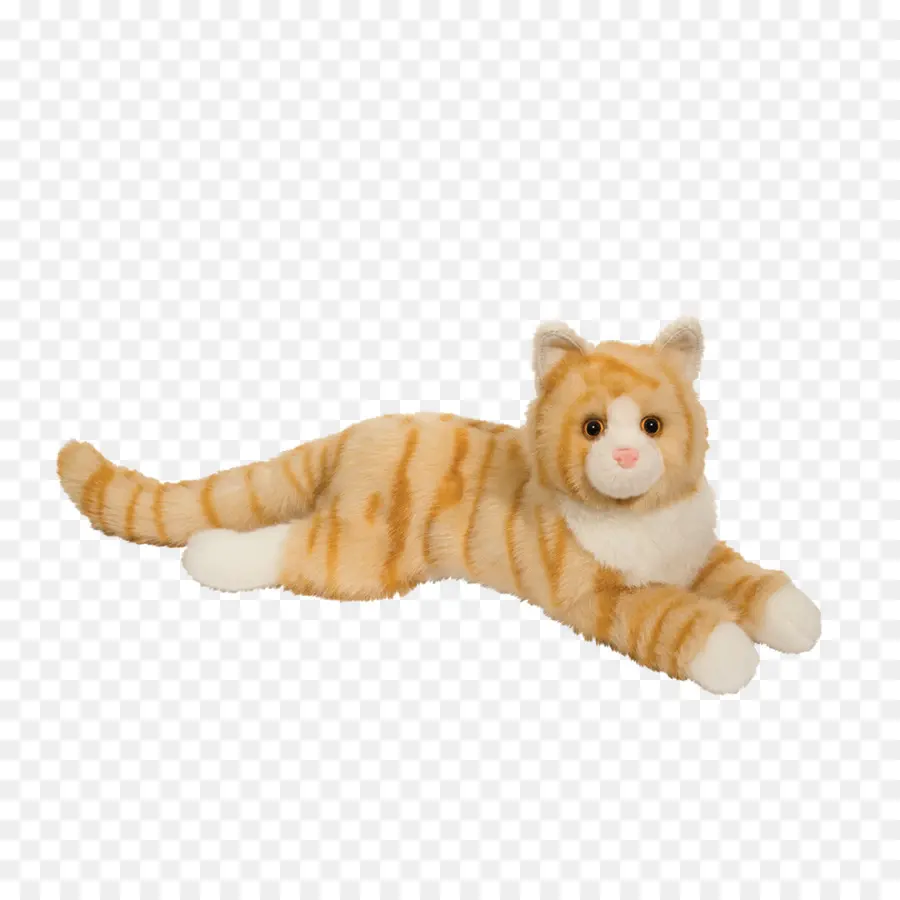 Gato Himalaya，Gatito PNG