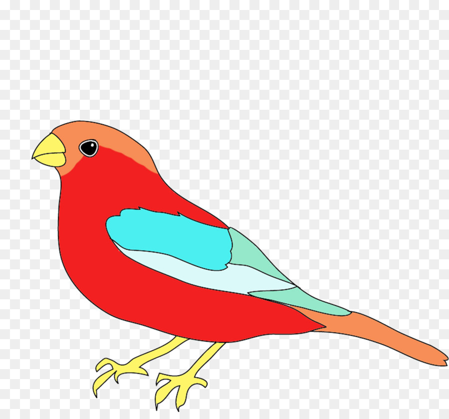 Pájaro，La Elaboración De Las Aves PNG