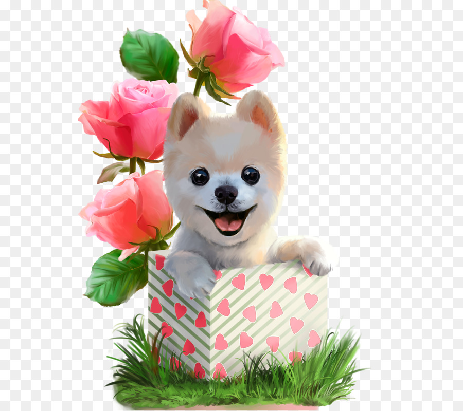 Cachorro，Gatito PNG