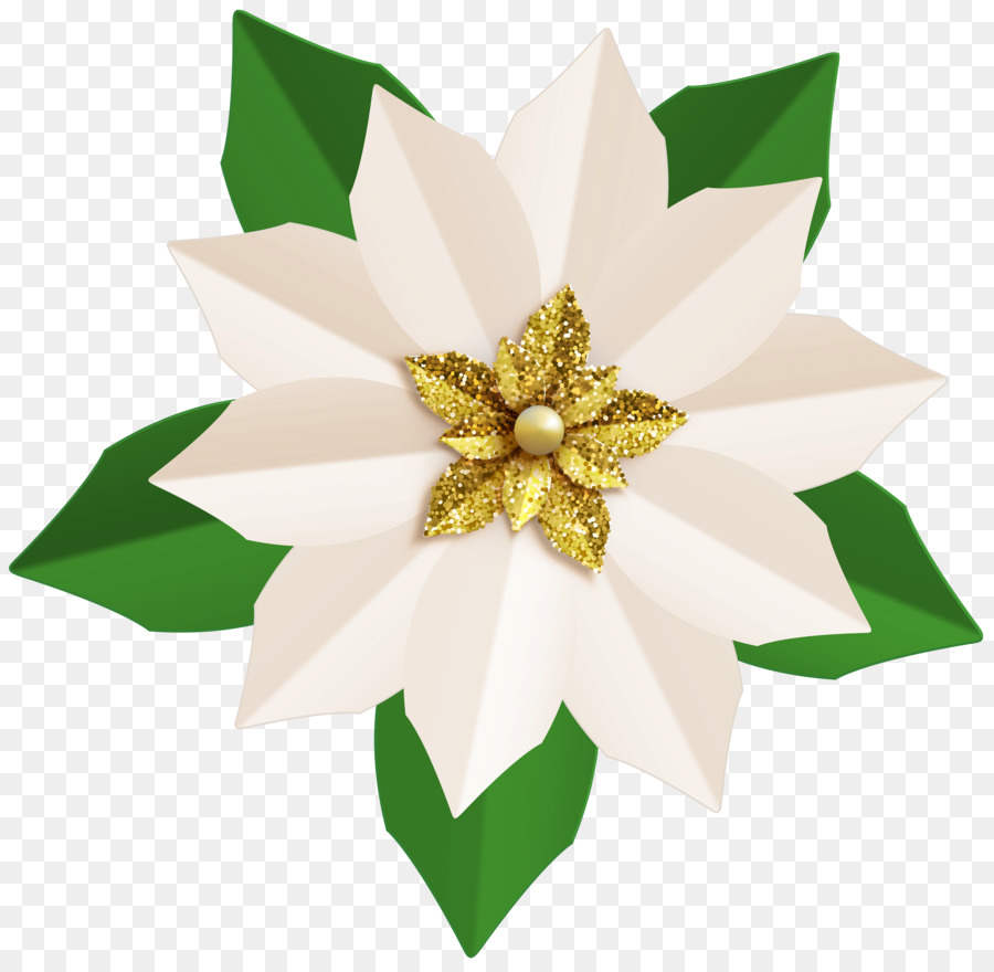 La Flor De Pascua，Flor PNG