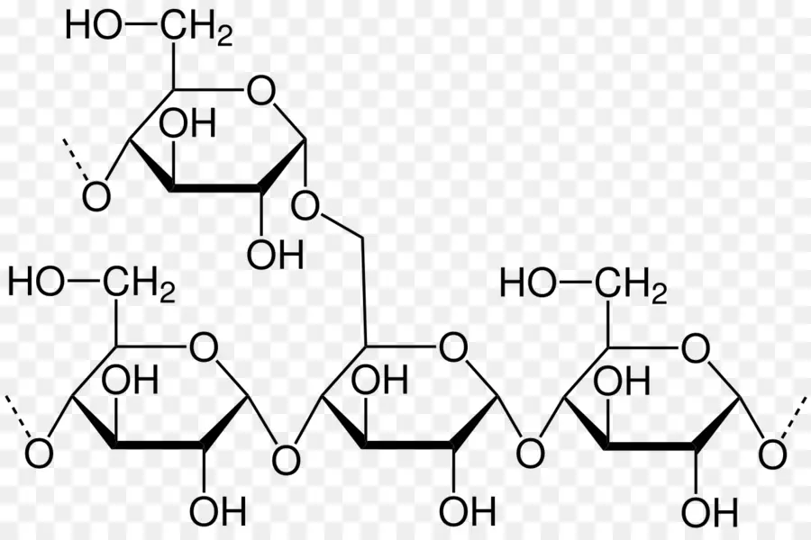 Amylopectin，Proyección De Haworth PNG