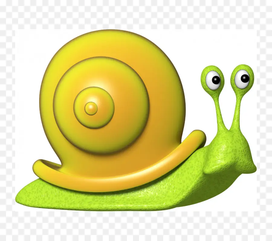 Caracol，Dibujo PNG