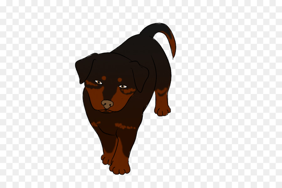 Rottweiler，Cachorro PNG