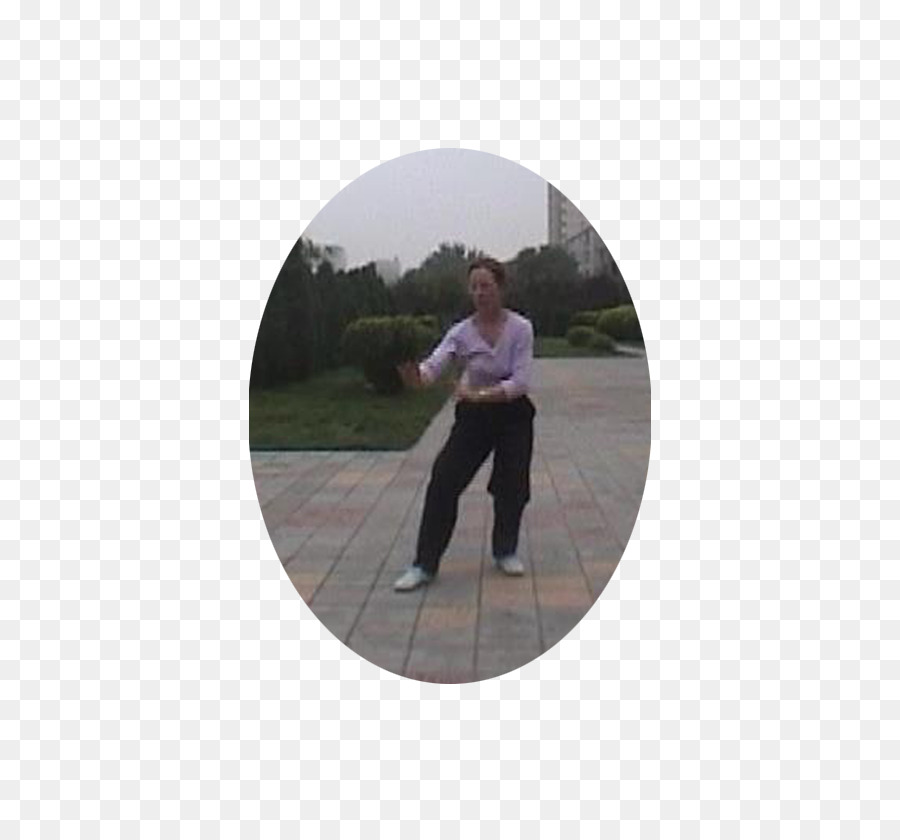 Xing Yi Quan，Wudang Quan PNG