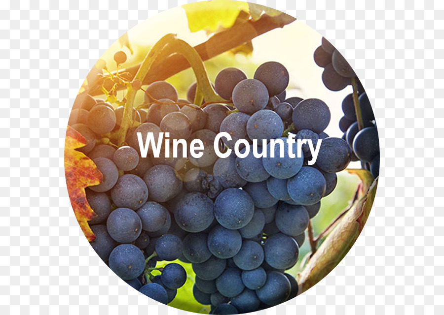 Sonoma，Vino PNG