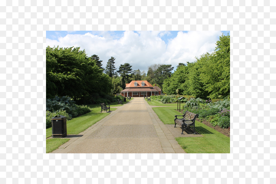 El Jardín Botánico De，La Propiedad PNG