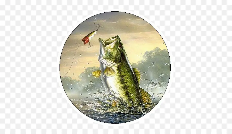 Iphone 8，Pesca De La Lubina PNG