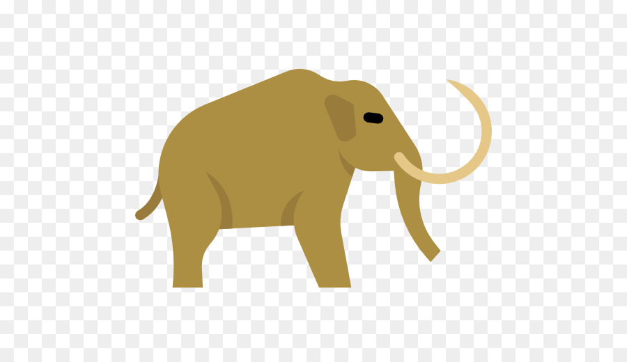 El Elefante Africano，Elefante Indio PNG