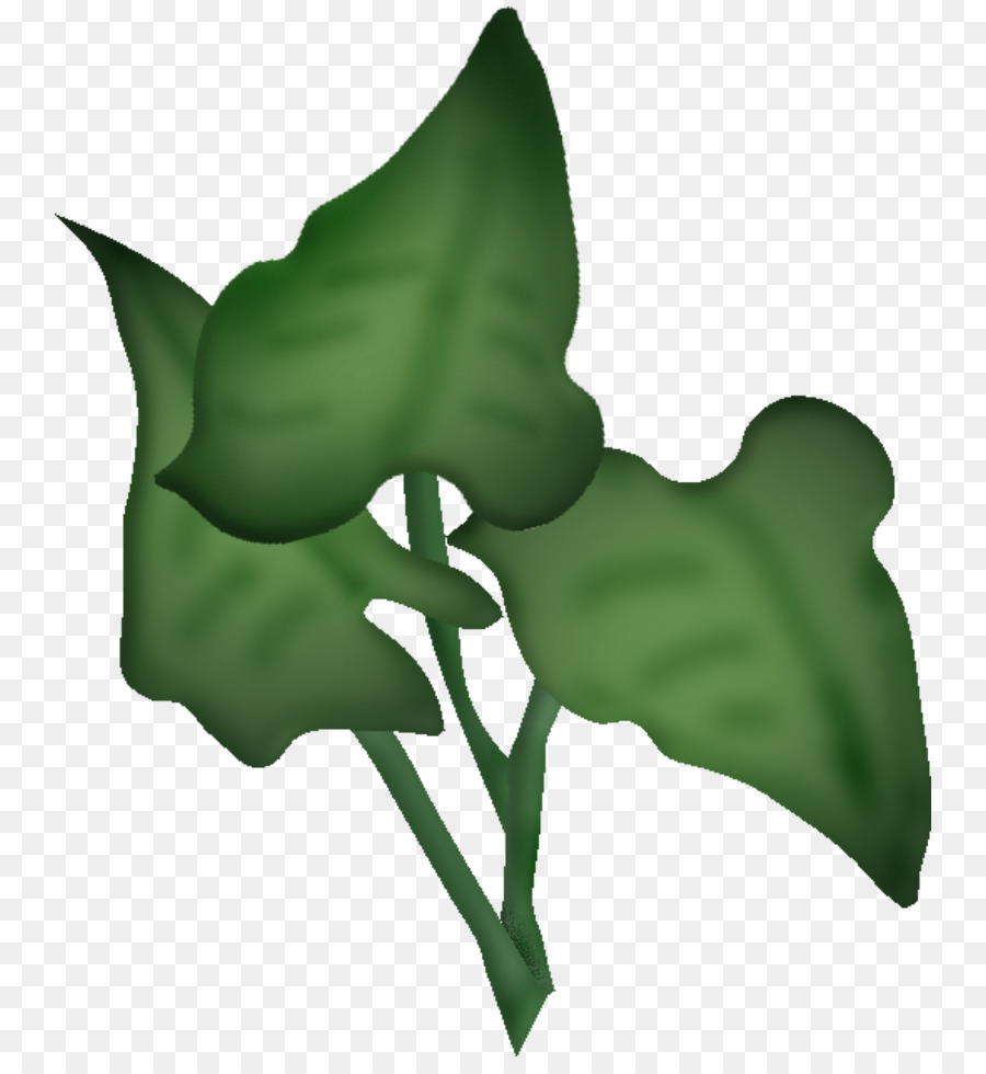 Flor，Hoja PNG