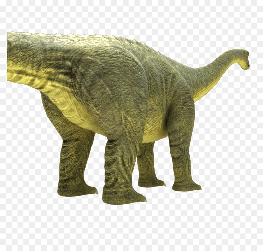 Brontosaurus，Apatosauro PNG