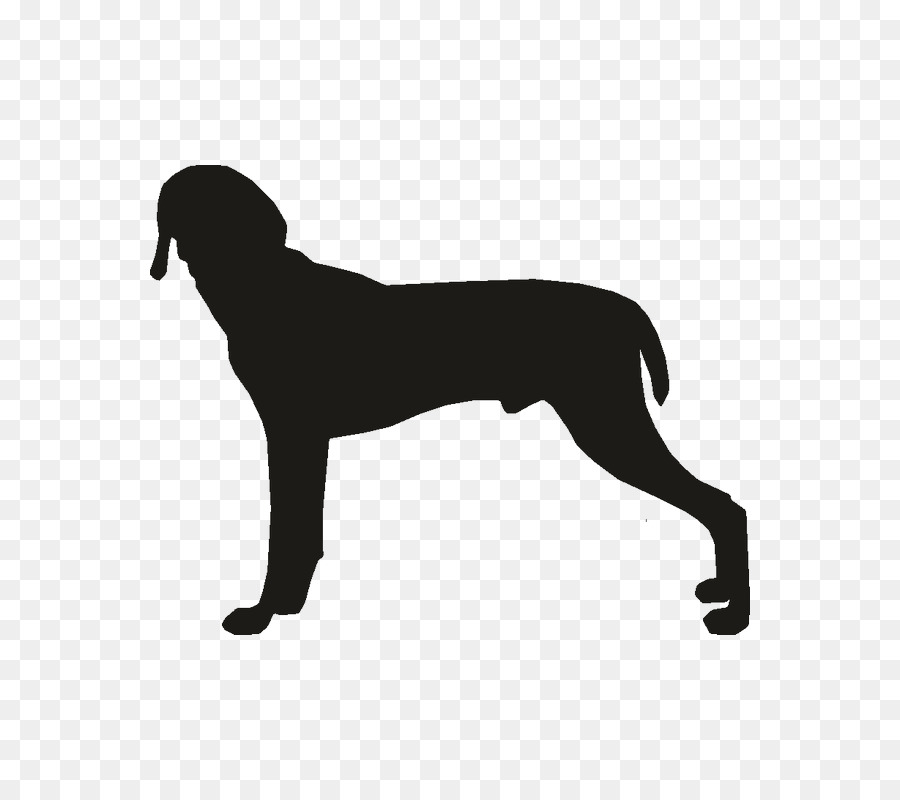 Raza De Perro，Cachorro PNG