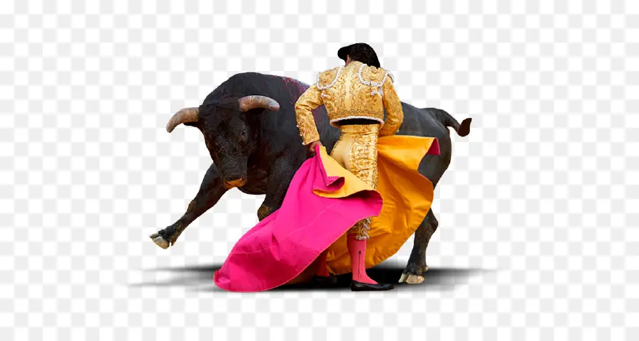 Torero，Matador PNG