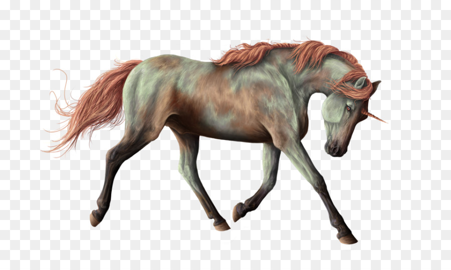 Caballo Corriendo，Animal PNG