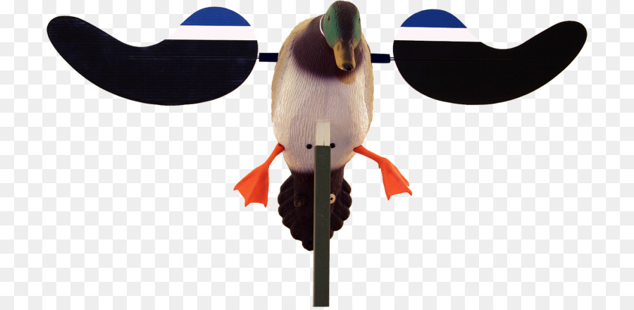 El ánade Real，Pato PNG